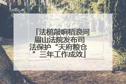 法槌敲响稻浪间 眉山法院发布司法保护“天府粮仓”三年工作成效