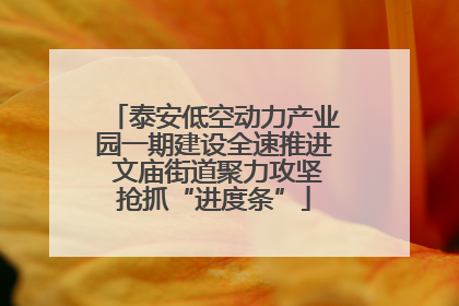 泰安低空动力产业园一期建设全速推进 文庙街道聚力攻坚抢抓“进度条”