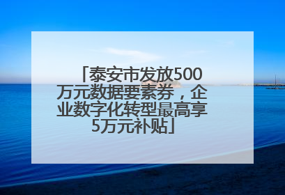 泰安市发放500万元数据要素券，企业数字化转型最高享5万元补贴