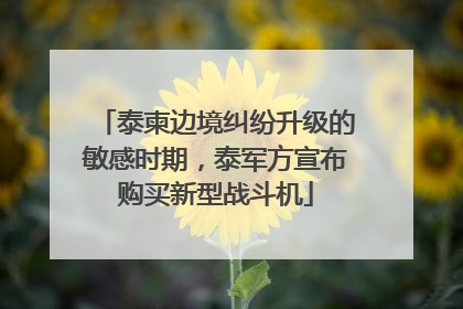 泰柬边境纠纷升级的敏感时期，泰军方宣布购买新型战斗机