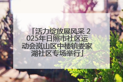 活力绽放展风采 2025年日照市社区运动会岚山区中楼镇娄家湖社区专场举行