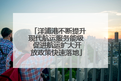 洋浦港不断提升现代航运服务能级 促进航运扩大开放政策快速落地