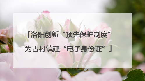 洛阳创新“预先保护制度” 为古村镇建“电子身份证”