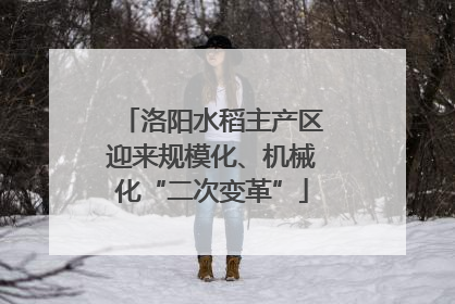 洛阳水稻主产区迎来规模化、机械化“二次变革”