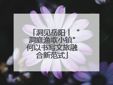 洞见岳阳丨“洞庭渔歌小镇”何以书写文旅融合新范式