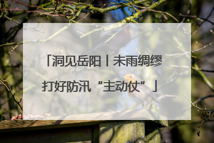 洞见岳阳丨未雨绸缪 打好防汛“主动仗”
