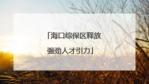 海口综保区释放强劲人才引力