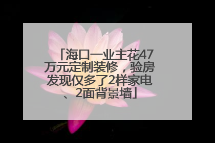 海口一业主花47万元定制装修，验房发现仅多了2样家电、2面背景墙