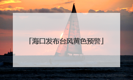 海口发布台风黄色预警