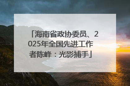 海南省政协委员、2025年全国先进工作者陈峰：光影捕手