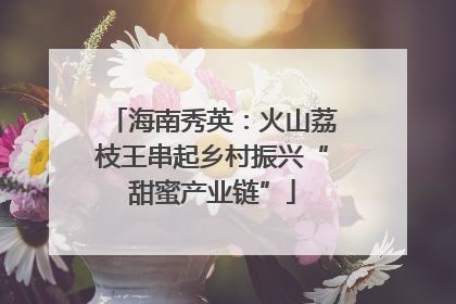 海南秀英：火山荔枝王串起乡村振兴“甜蜜产业链”
