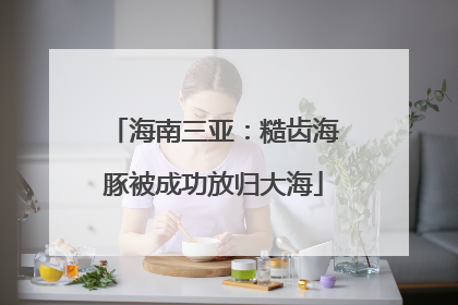 海南三亚：糙齿海豚被成功放归大海