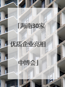 海南30家优质企业亮相中博会