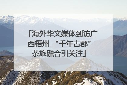 海外华文媒体到访广西梧州 “千年古郡”茶旅融合引关注