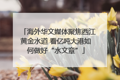 海外华文媒体聚焦西江黄金水道 看亿吨大港如何做好“水文章”
