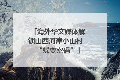 海外华文媒体解锁山西河津小山村“蝶变密码”