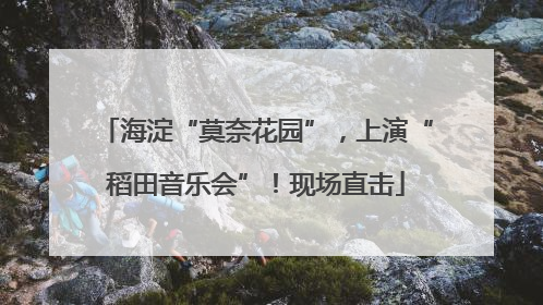 海淀“莫奈花园”，上演“稻田音乐会”！现场直击