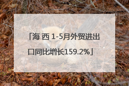 海 西 1-5月外贸进出口同比增长159.2%