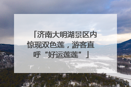 济南大明湖景区内惊现双色莲，游客直呼“好运莲莲”