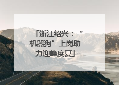 浙江绍兴：“机器狗”上岗助力迎峰度夏