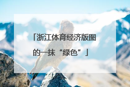 浙江体育经济版图的一抹“绿色”