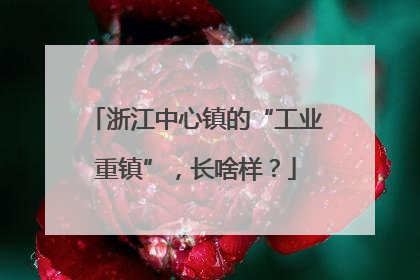浙江中心镇的“工业重镇”，长啥样？