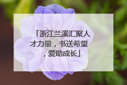 浙江兰溪汇聚人才力量，书送希望，爱助成长