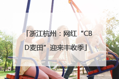 浙江杭州：网红“CBD麦田”迎来丰收季