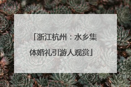 浙江杭州：水乡集体婚礼引游人观赏