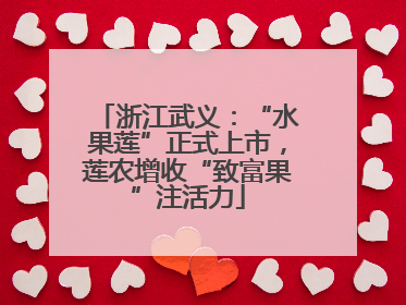 浙江武义：“水果莲”正式上市，莲农增收“致富果”注活力