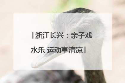 浙江长兴：亲子戏水乐 运动享清凉