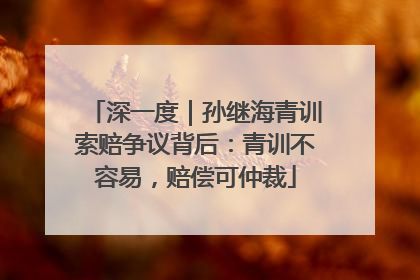 深一度｜孙继海青训索赔争议背后：青训不容易，赔偿可仲裁