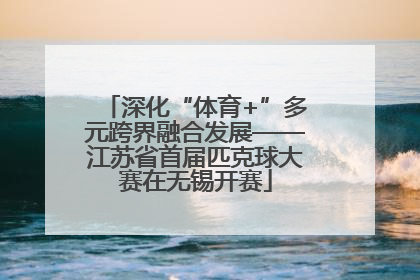 深化“体育+”多元跨界融合发展——江苏省首届匹克球大赛在无锡开赛