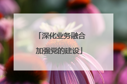 深化业务融合 加强党的建设