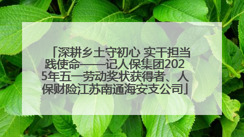深耕乡土守初心 实干担当践使命——记人保集团2025年五一劳动奖状获得者、人保财险江苏南通海安支公司