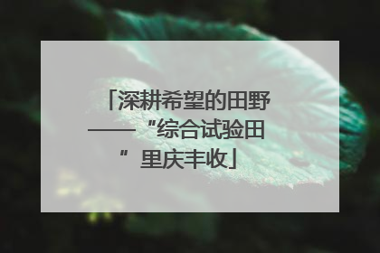 深耕希望的田野——“综合试验田”里庆丰收