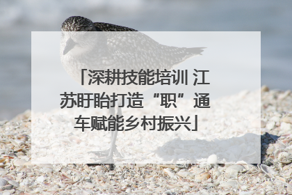 深耕技能培训 江苏盱眙打造“职”通车赋能乡村振兴