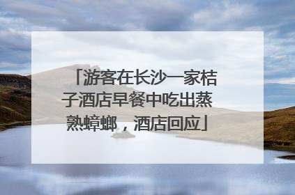 游客在长沙一家桔子酒店早餐中吃出蒸熟蟑螂，酒店回应