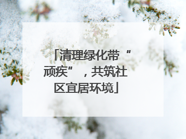 清理绿化带“顽疾”，共筑社区宜居环境