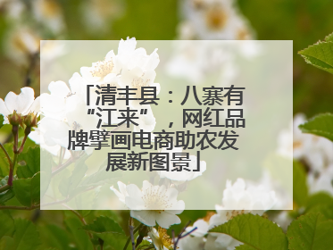 清丰县：八寨有“江来”，网红品牌擘画电商助农发展新图景