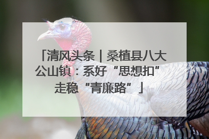 清风头条｜桑植县八大公山镇：系好“思想扣” 走稳“青廉路”