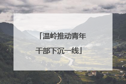 温岭推动青年干部下沉一线