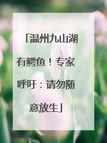 温州九山湖有鳄鱼！专家呼吁：请勿随意放生