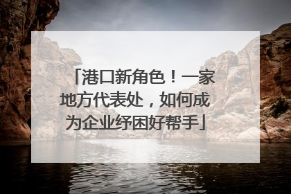 港口新角色！一家地方代表处，如何成为企业纾困好帮手