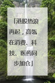 港股热浪再起，高瓴在消费、科技、医药同步加仓