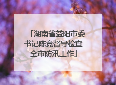 湖南省益阳市委书记陈竞督导检查全市防汛工作