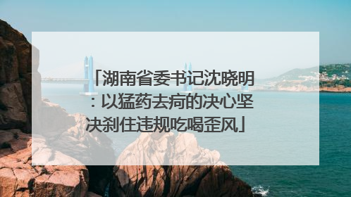 湖南省委书记沈晓明：以猛药去疴的决心坚决刹住违规吃喝歪风