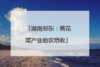 湖南祁东：黄花菜产业助农增收
