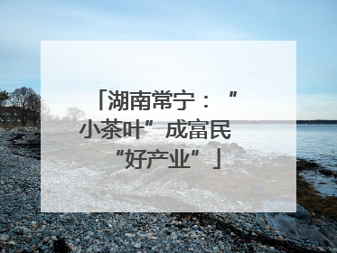 湖南常宁：“小茶叶”成富民“好产业”