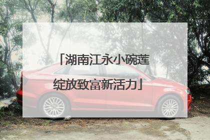 湖南江永小碗莲绽放致富新活力
